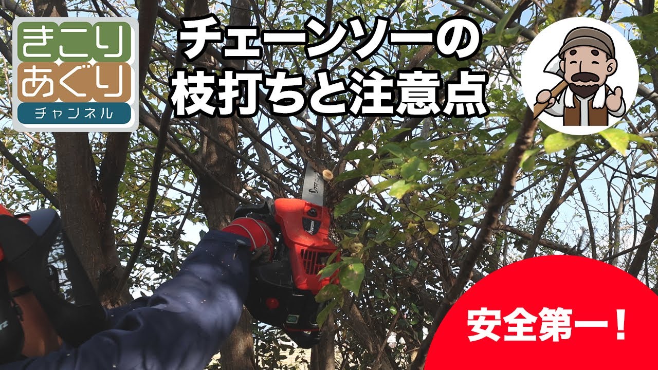 【必見】チェーンソーの枝打ちと注意点 