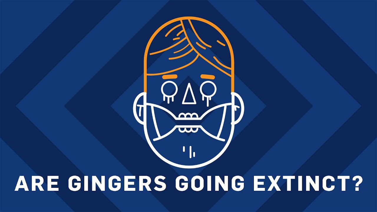 Are Gingers Going Extinct? | Earth Science