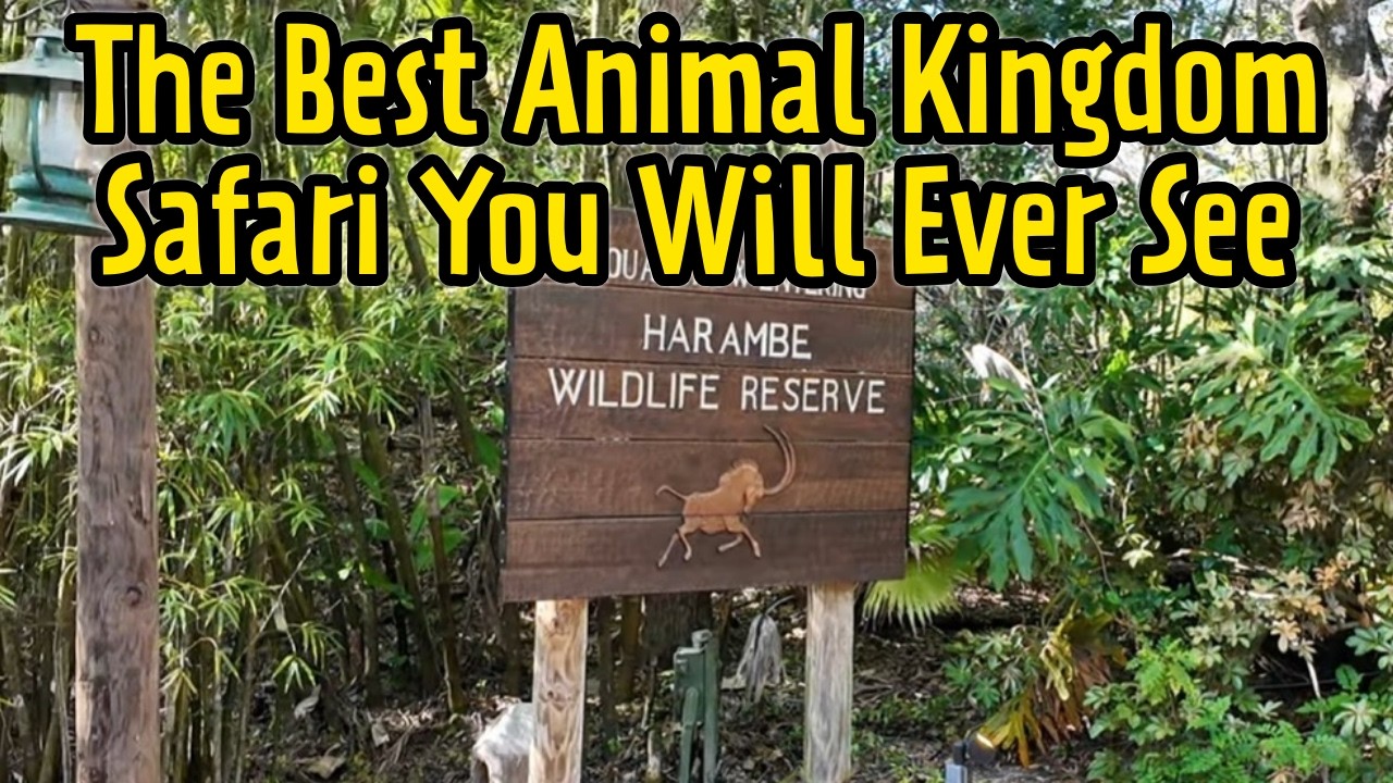 Лучший сафари-тур по королевству животных Диснея, который вы когда-либо видели.