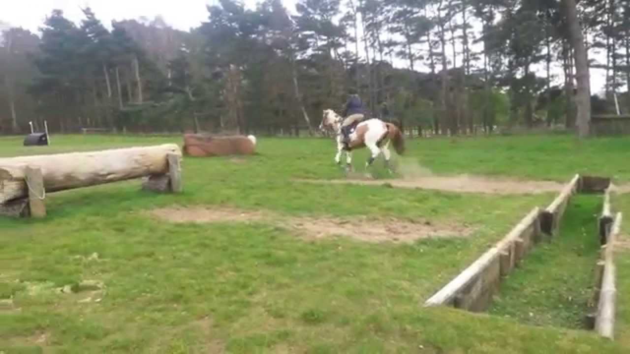 Forelock and Load Kiowas Aces High
