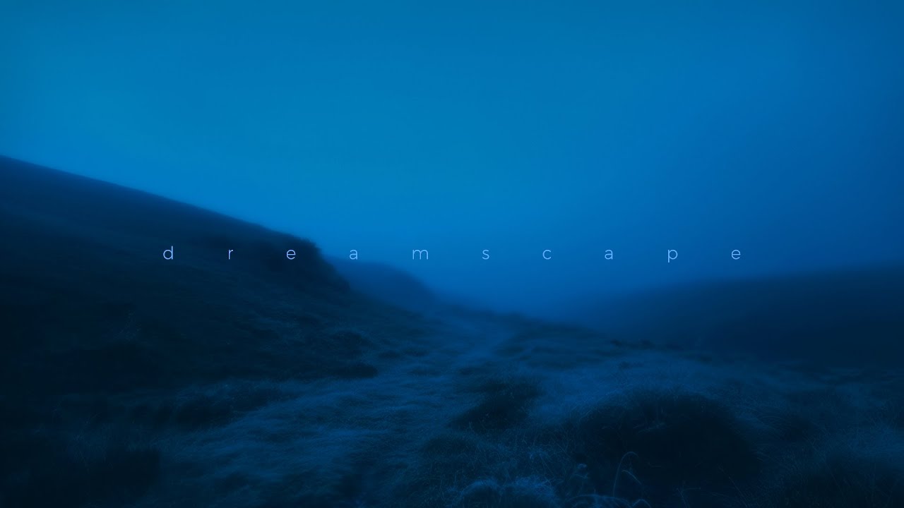 reapify - spustoszenie