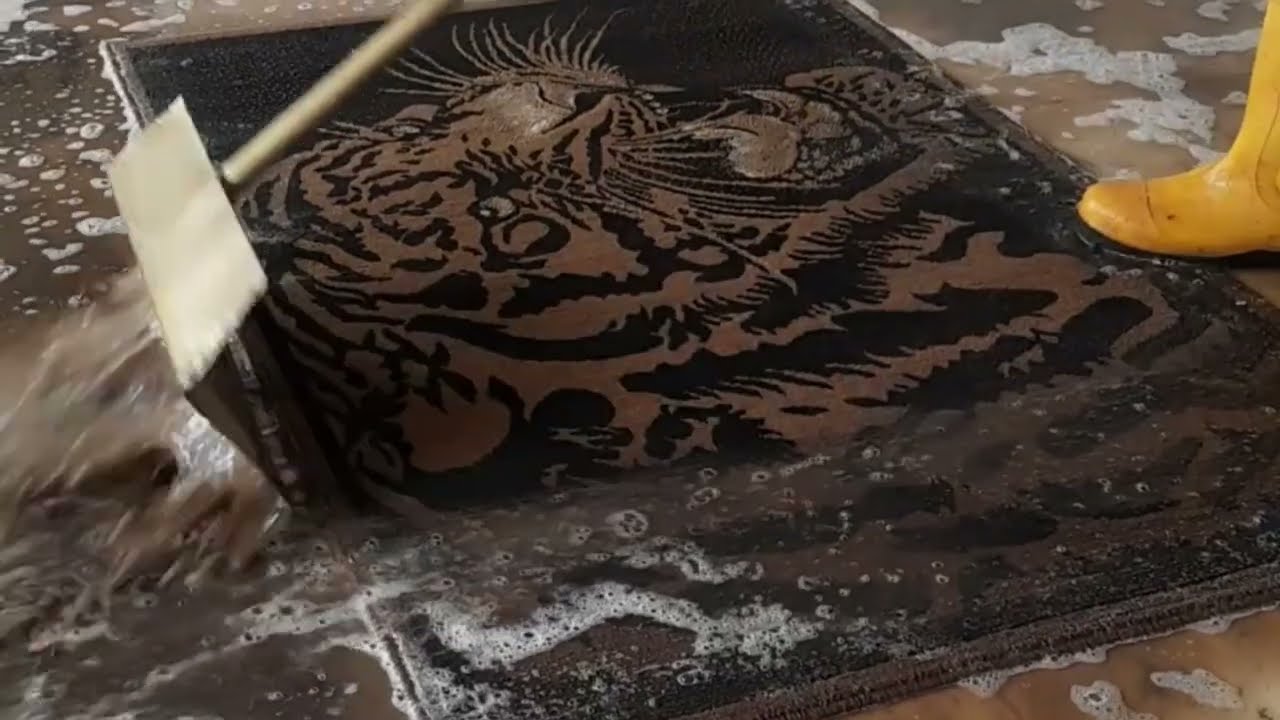 Rug Cleaning 