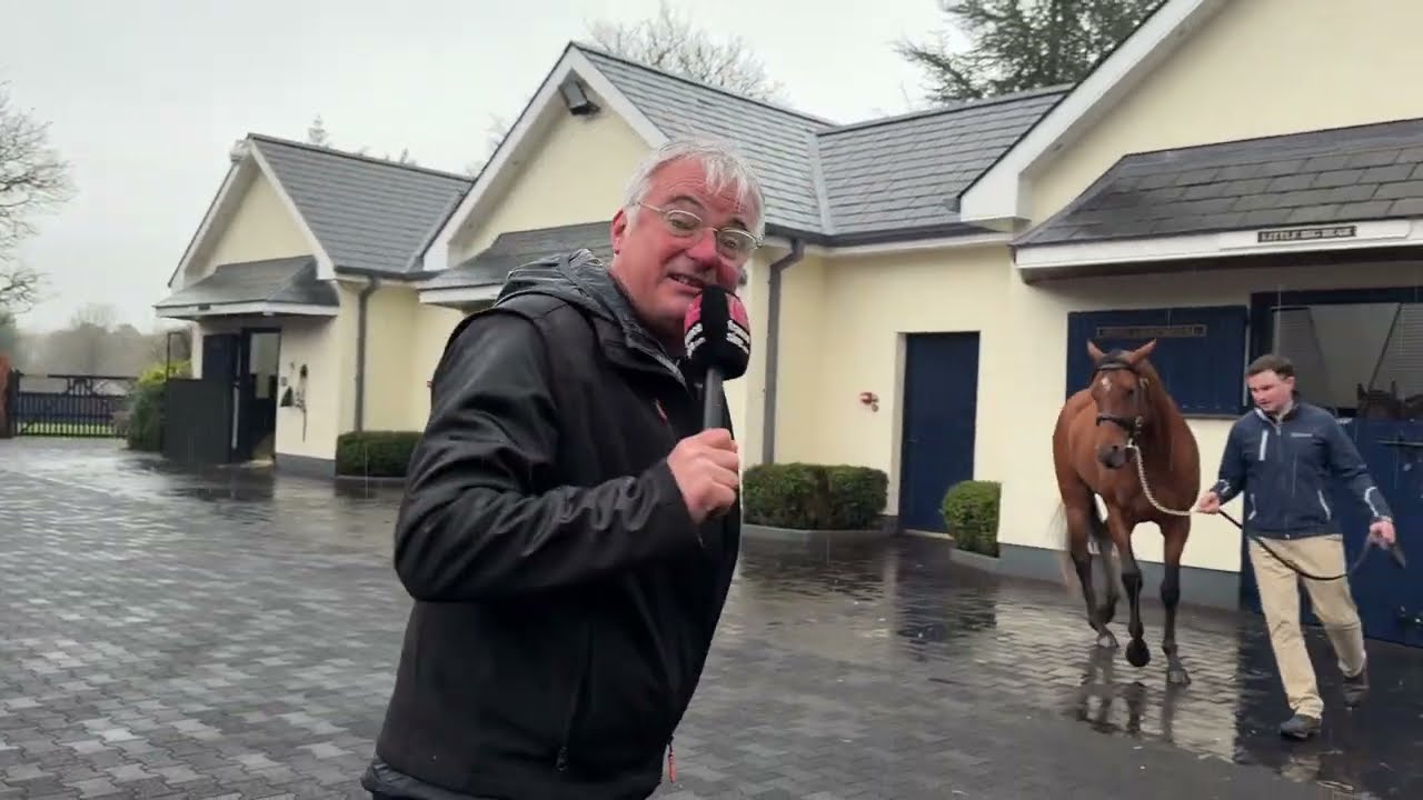 CITY OF TROY à Coolmore Stud avec Mark Byrne : Irish Stallion Trail 2026