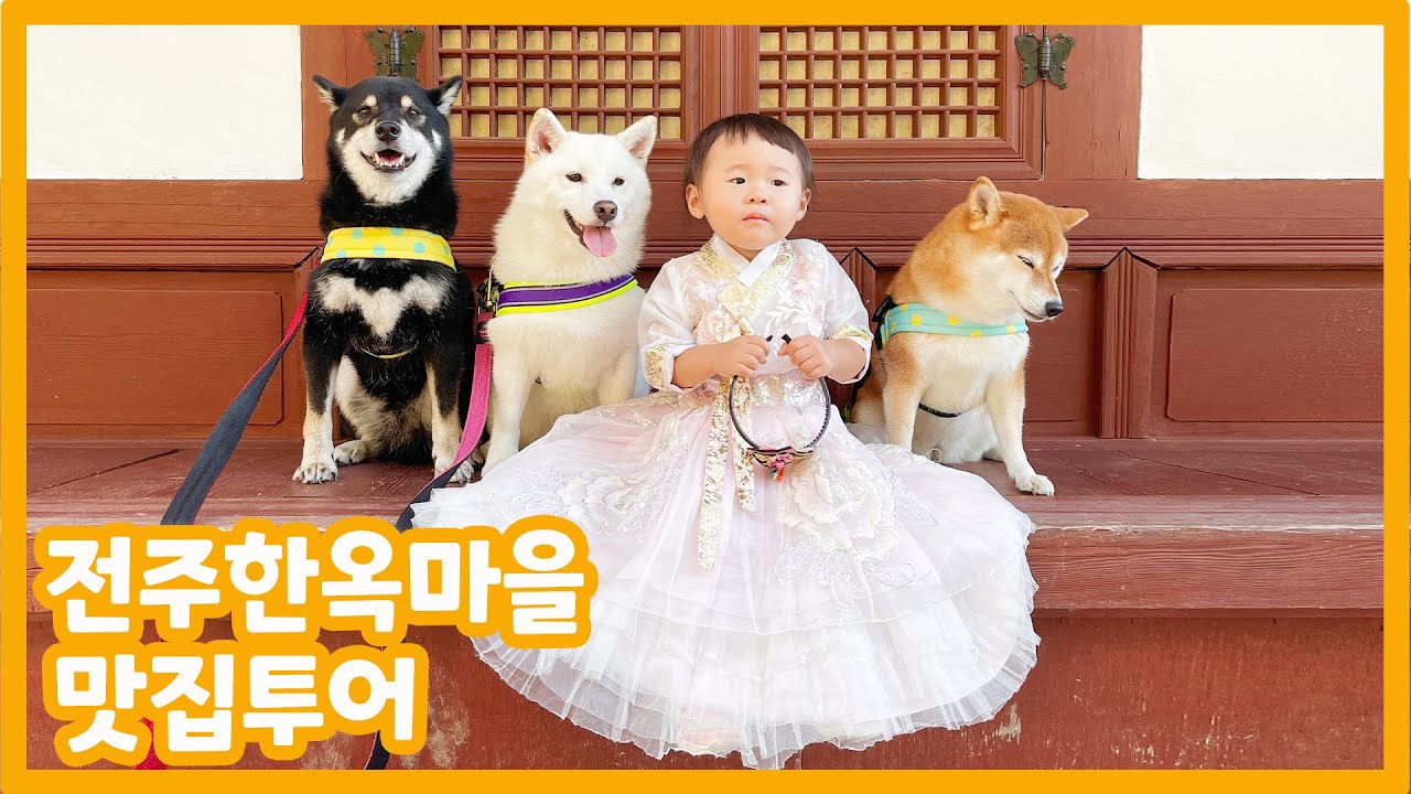 20개월 아기와 강아지 데리고 전주 한옥마을 여행다녀왔어요