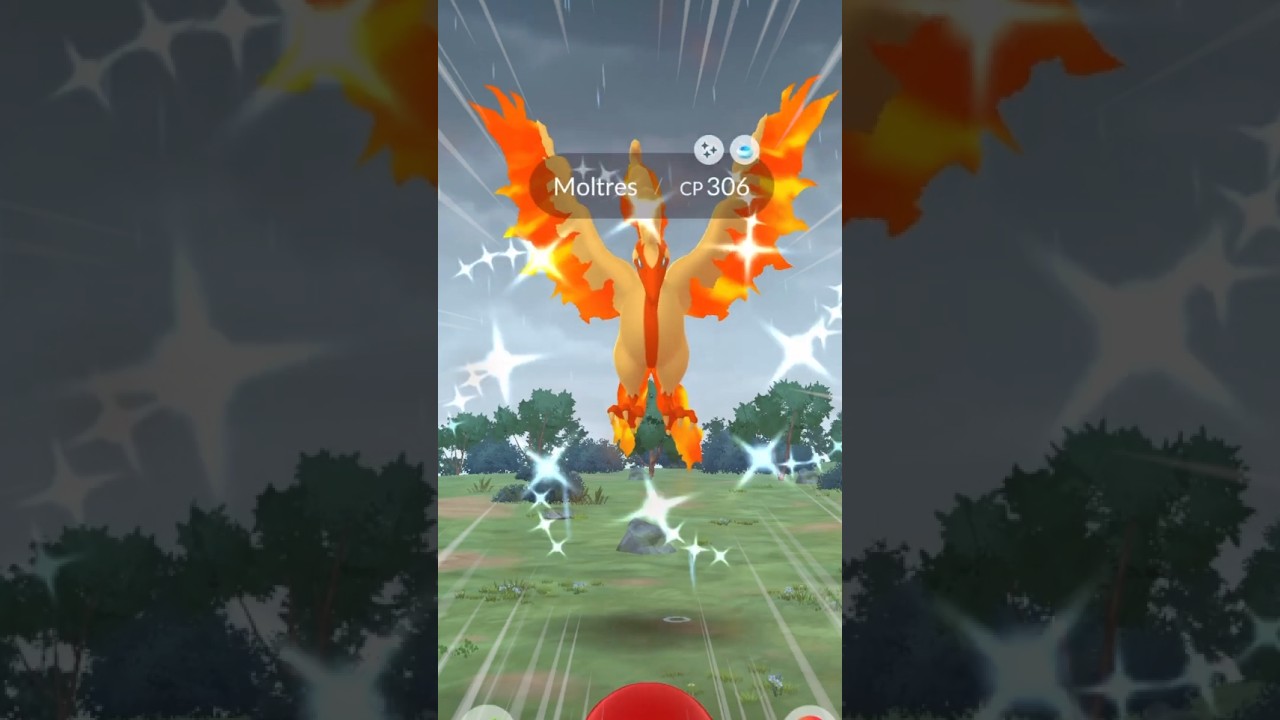 I grinded so hard for this in Pok&eacute;mon GO!