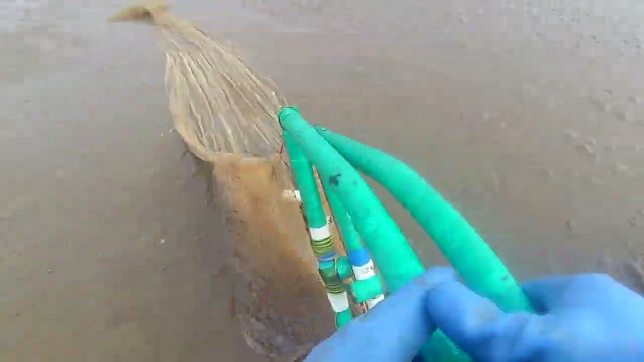 2-2, 2ND HAUL OF THE BEAM NET. #shrimps # BIG SHRIMPS #subscribe #