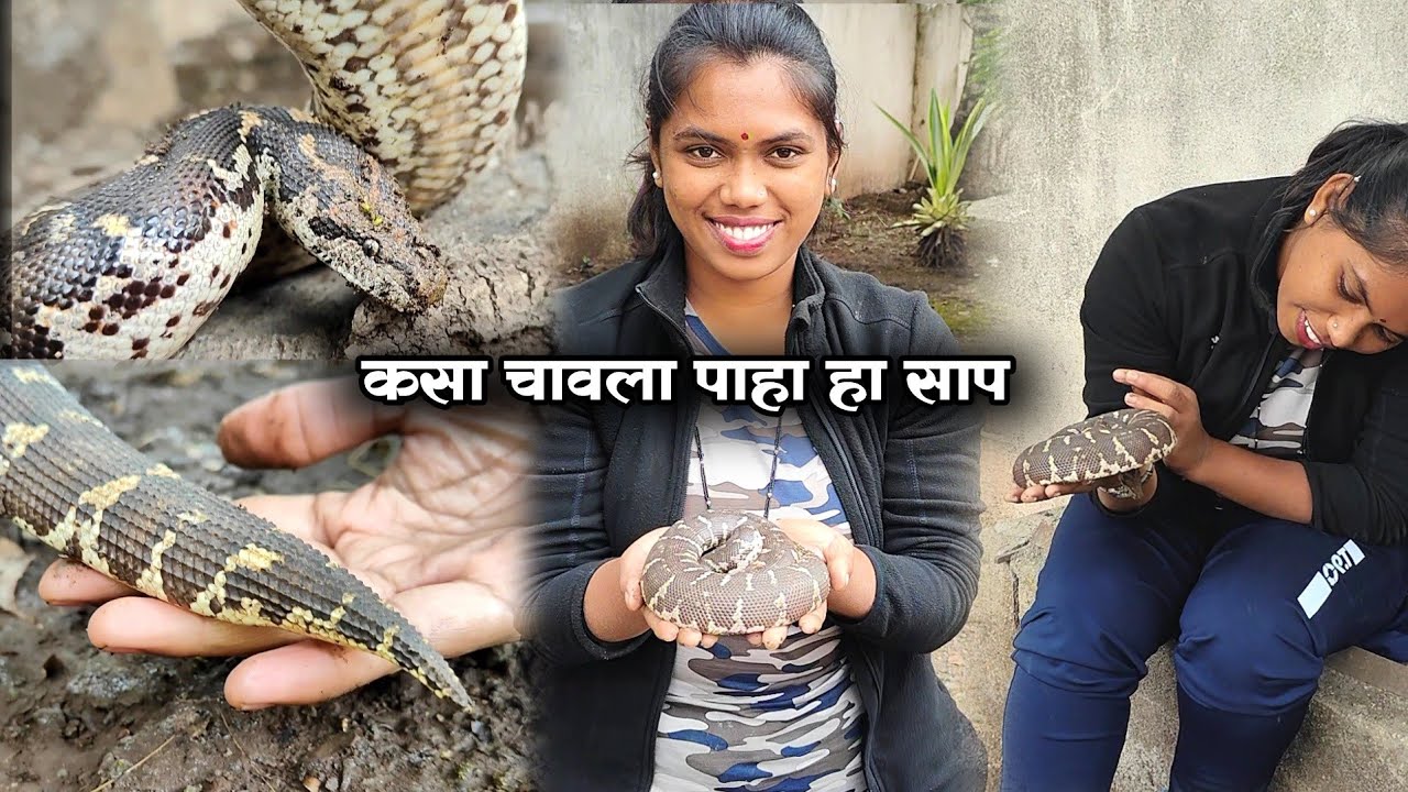 शेवटी सापाने चावा घेतलाच पहा कसा ते या व्हिडिओ मद्ये #girl