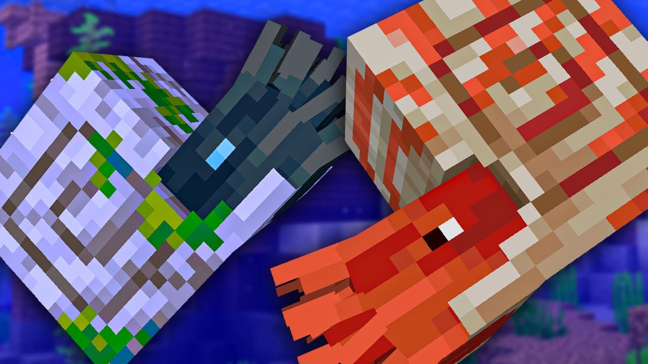 Minecraft: Everything To Know About The Nautilus