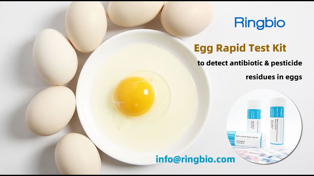 Ringbio Egg antibiotic residue test kit