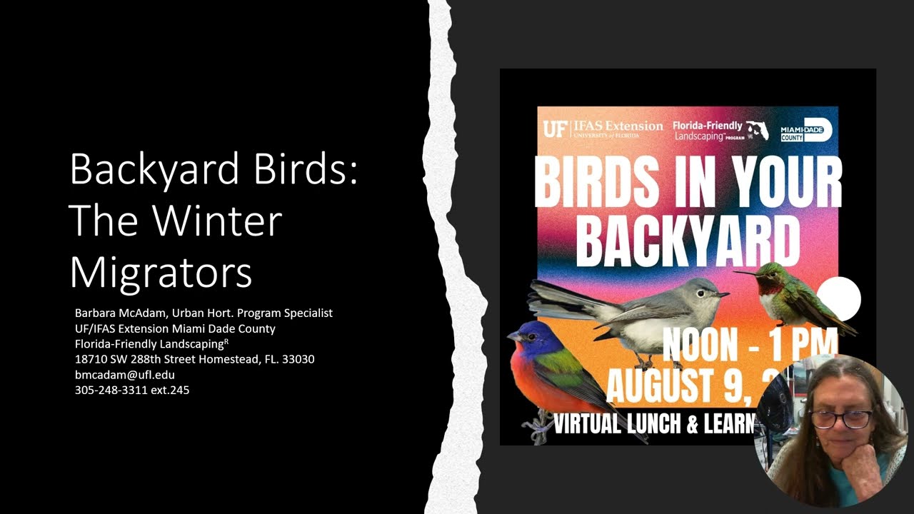 Birds in Your Backyard: The Winter Migrators