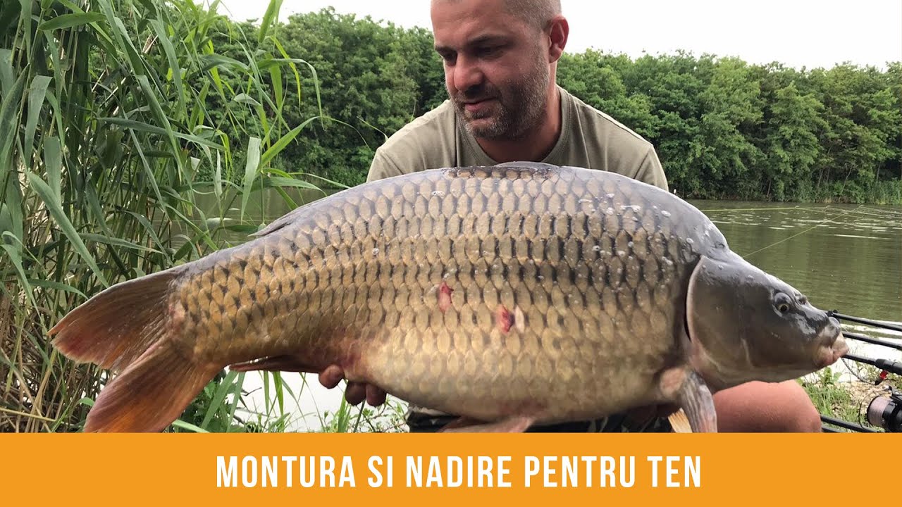 Pescuit pe carpodrom cu mix de seminte si porumb la carlig - in cautarea tenilor de pe Dyno Lake!