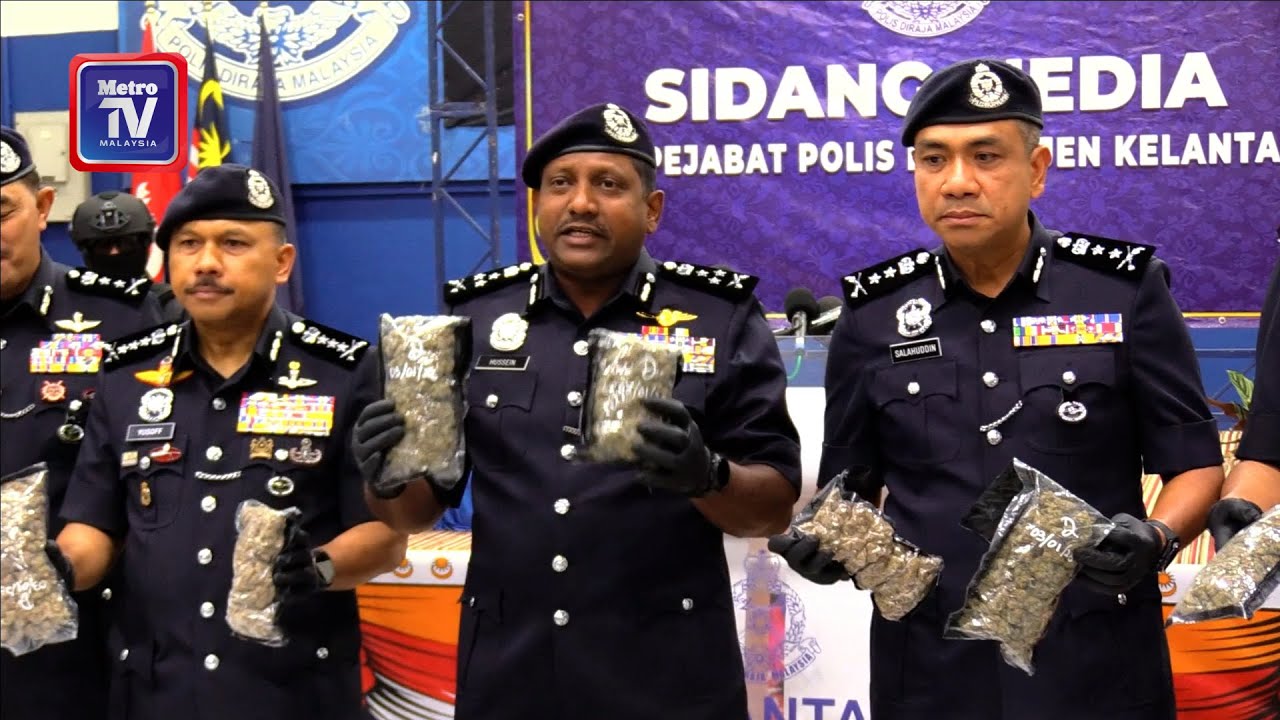 Wanita ketua sindiket dadah dikehendaki, bunga ganja bernilai RM1.82 juta dirampas