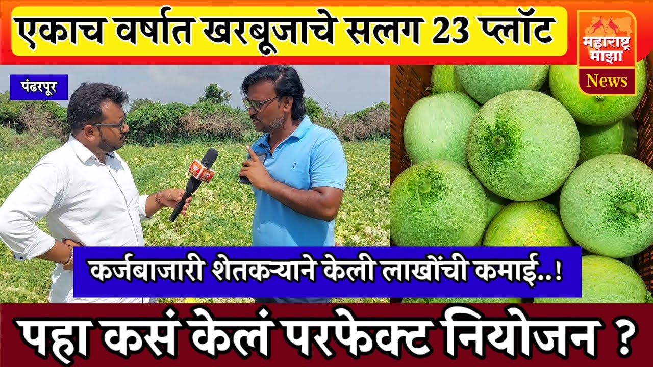 ♦️खरबूजाचे एकाच वर्षात सलग 23 प्लॉट ! शेतकऱ्याने केली रोकॉर्डब्रेक कमाई, पहा कसं केलं नियोजन ?