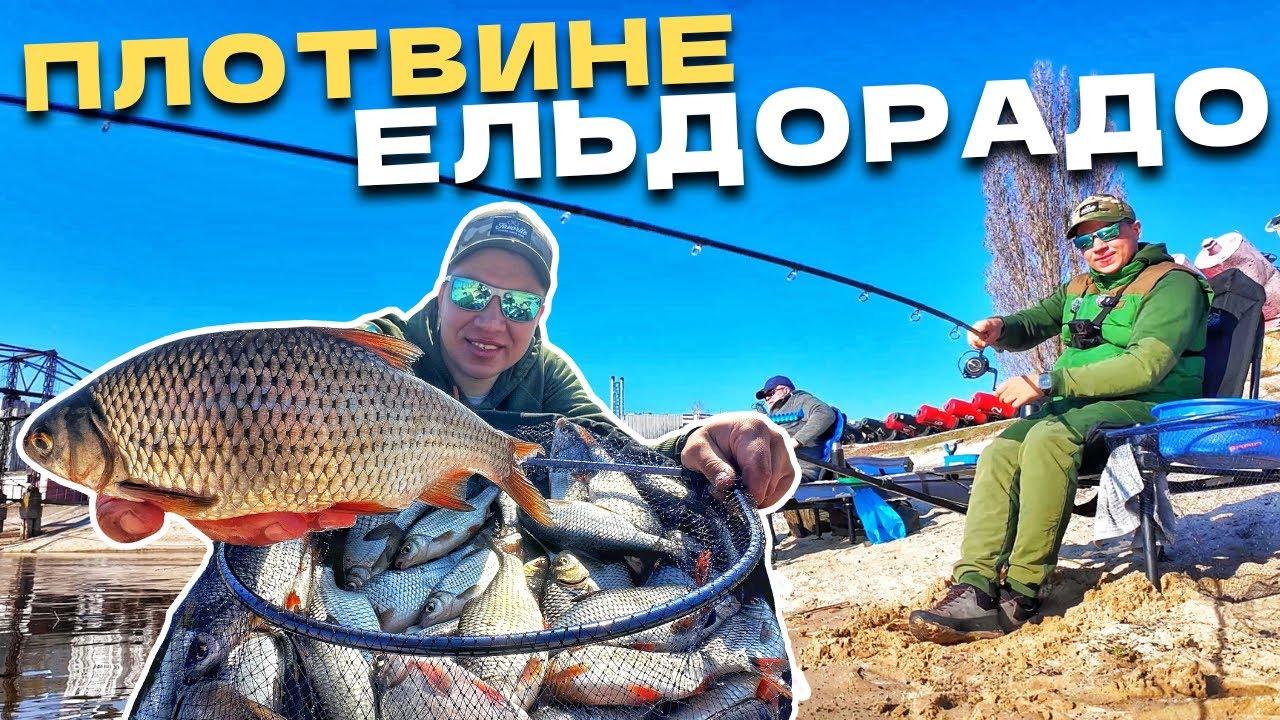 ТУТ РИБАЛКА МРІЇ! МИ ДУМАЛИ ВІН НОРМАЛЬНИЙ А ВІН ЗВИЧАЙНИЙ ШАРПАЧ! Фідерна рибалка 2025!