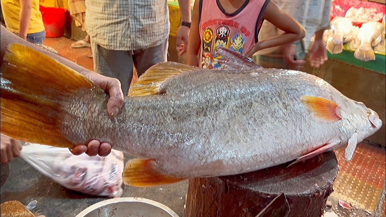 Incredible Giant Bhetki Fish Cutting Live In Fish Market | Fish Cutting Bangladesh