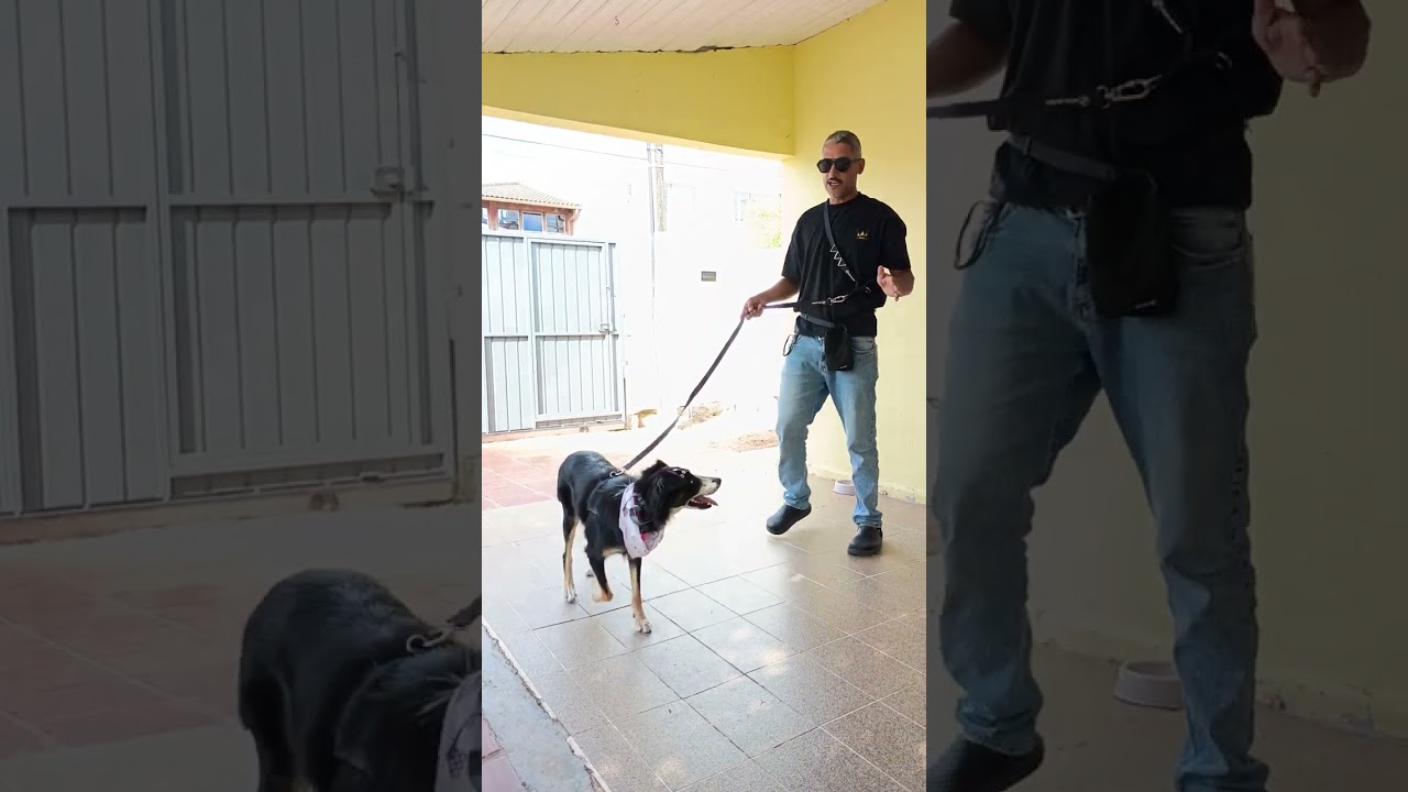 Colar Eletrônico apresentação 