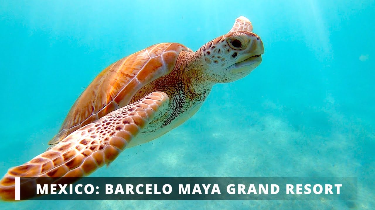 Mexico: Barcelo Maya Grand Resort