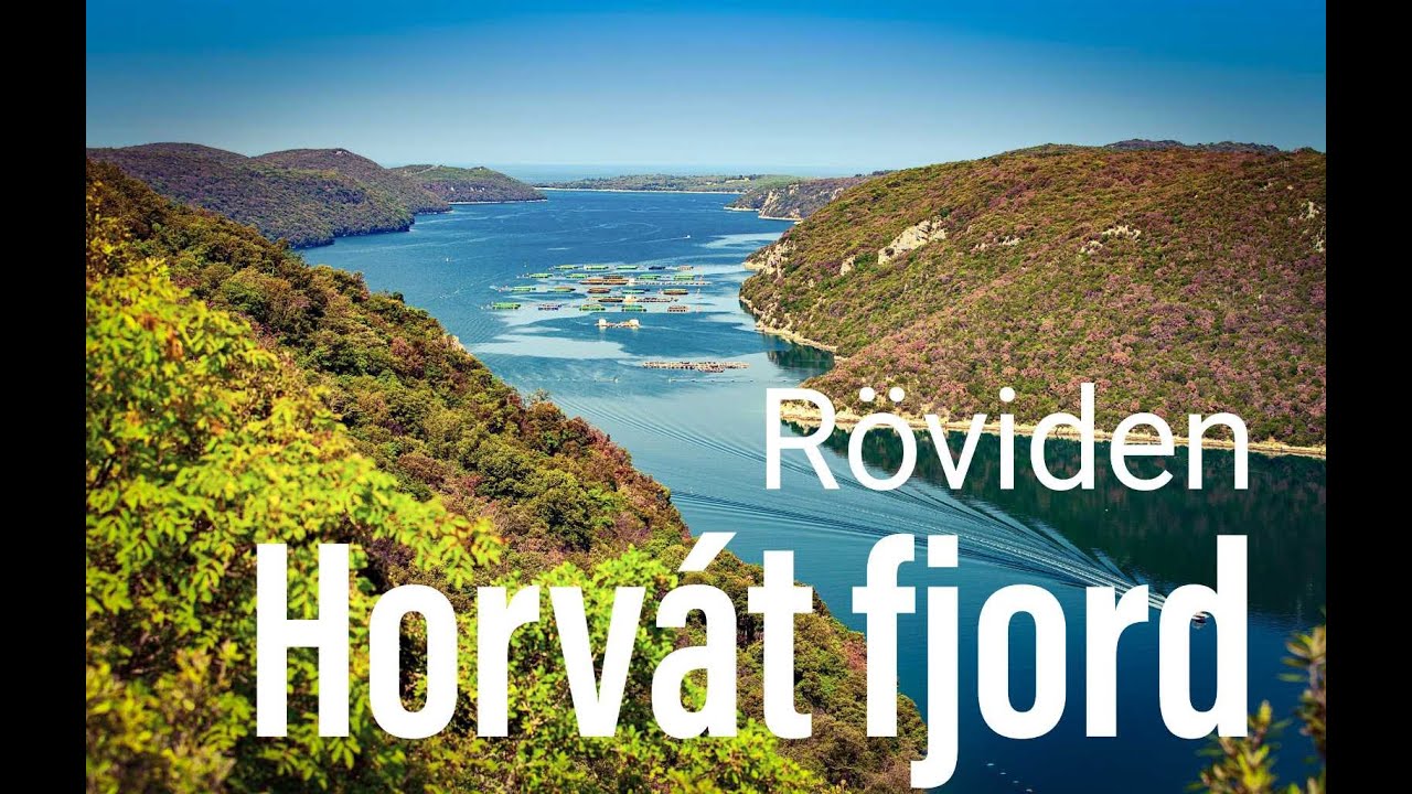 Horv&aacute;torsz&aacute;gi fjord? - Lim-&ouml;b&ouml;l - R&ouml;viden.