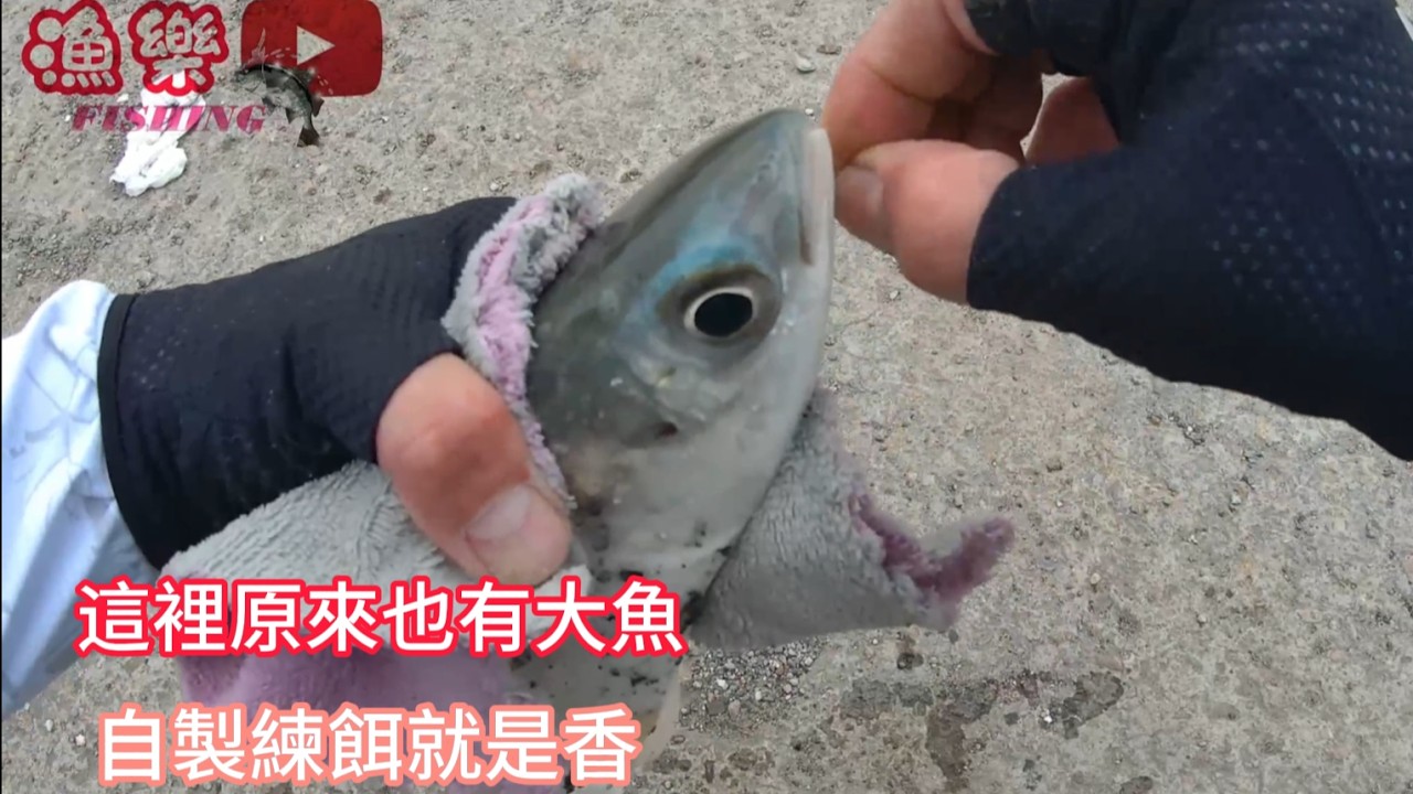 【漁樂FISHING】這裡原來也有大魚