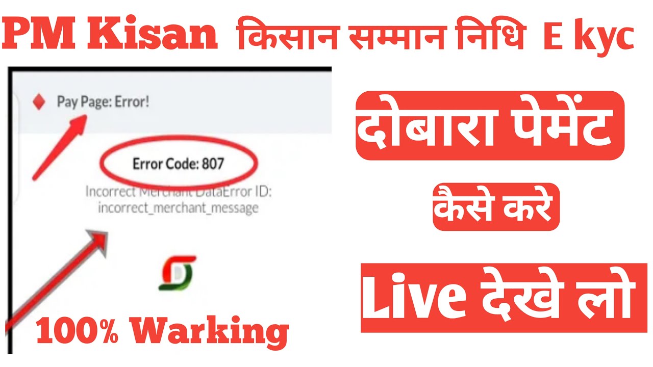 पीएम किसान सम्मान निधि ekyc दोबारा पेमेंट कैसे करें| e kyc payment error solve|ekyc 810 error solve
