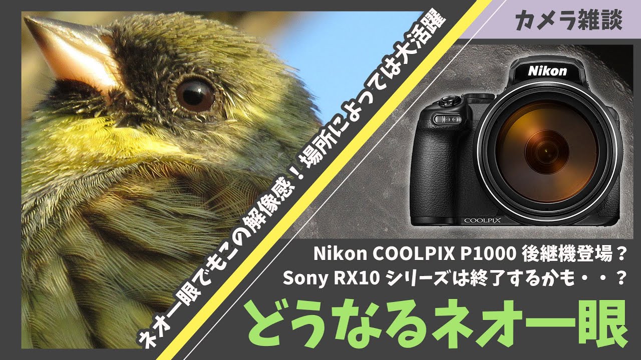 どうなる！？ネオ一眼〜Nikon COOLPIX P1000後継機とSony RX10シリーズ終了の噂に思うこと〜