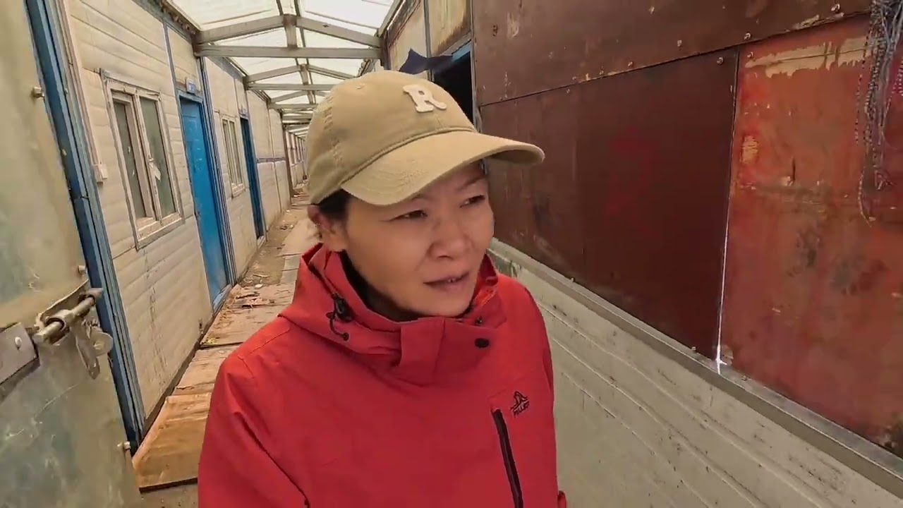 一个人在羌塘无人区的第三天 遇到狼了 找个废弃房煮饭不容易 沿路好多报废车 #羌塘#羌塘无人区 #无人区过夜 #国道216