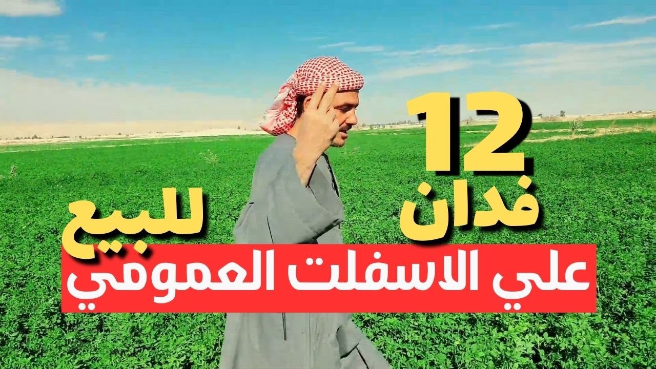 12 فدان علي الاسفلت العمومي للبيع حصرجمعيه وبطاقه زراعيه