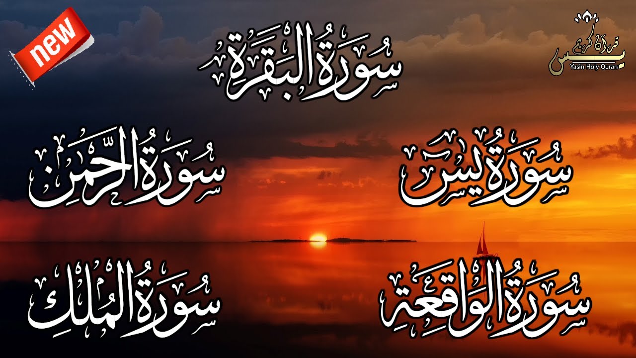 رقية للبيت سورة البقرة،يس،الرحمن،الواقعة،الملك شفاء وبركة وحفظ من الشيطان القارئ مختار الحاج