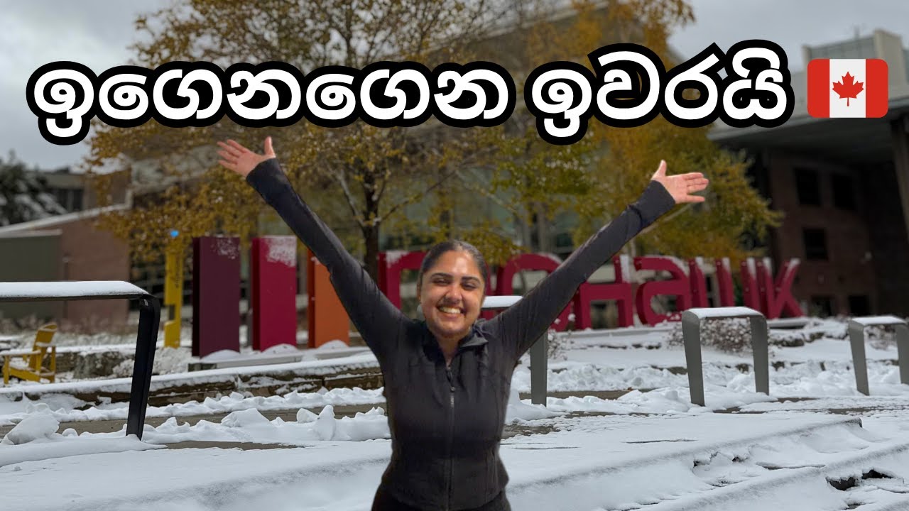 College ඉවරයි මේ අවුරුද්දට 🇨🇦 | Busiest week |  Canada Life Sri Lankan #canada #sinhala
