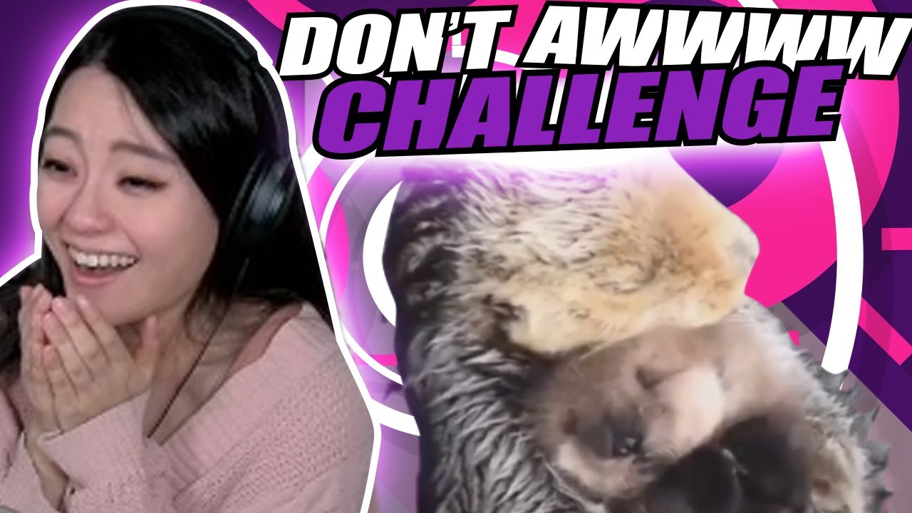 I NEED THIS AS A PET! | Potastic Tries 