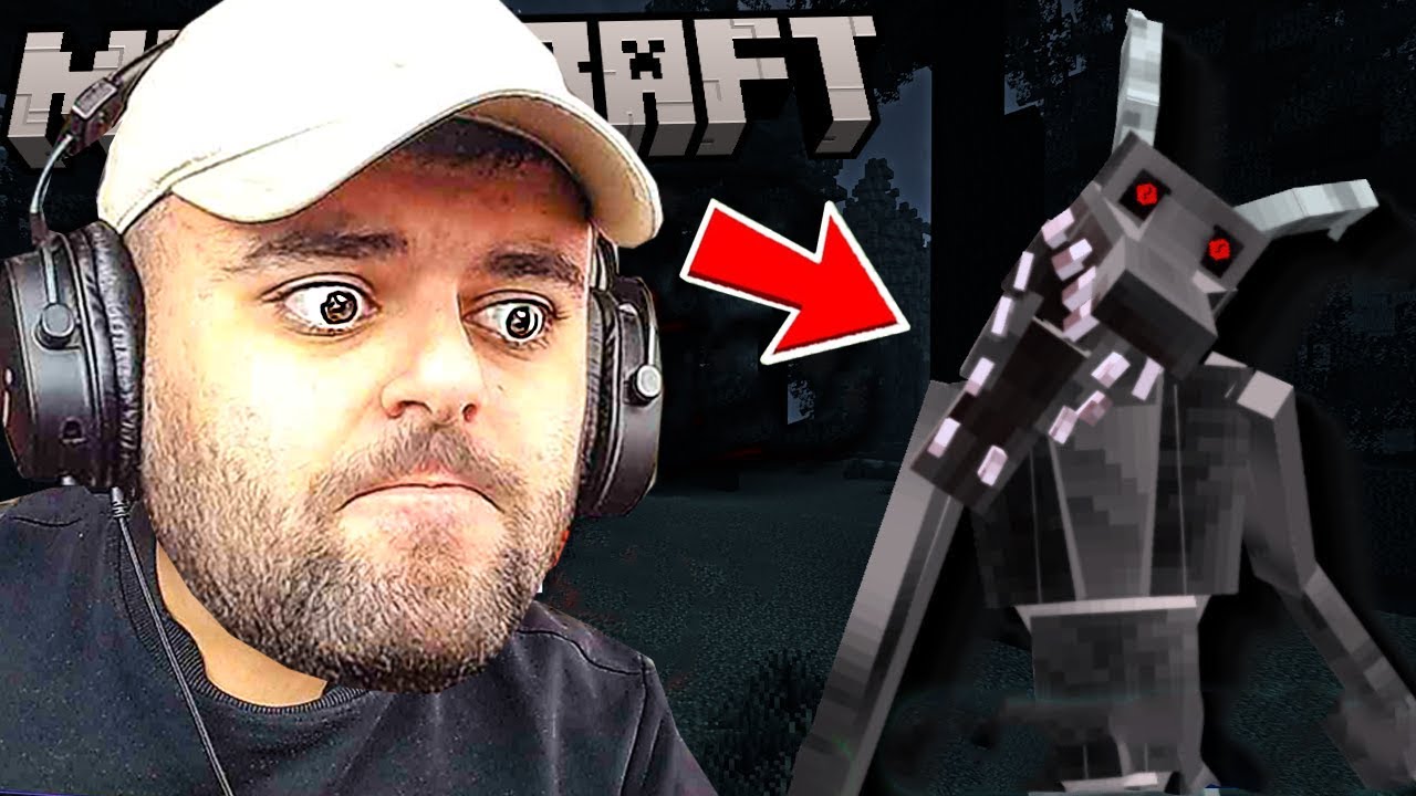 დრაკონი მოვითვინიერეთ Minecraft -ში! DAY 41