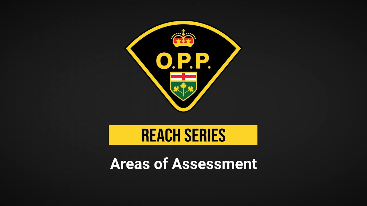 Areas of Assessment