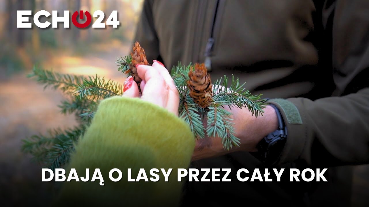 Dbają o lasy przez cały rok