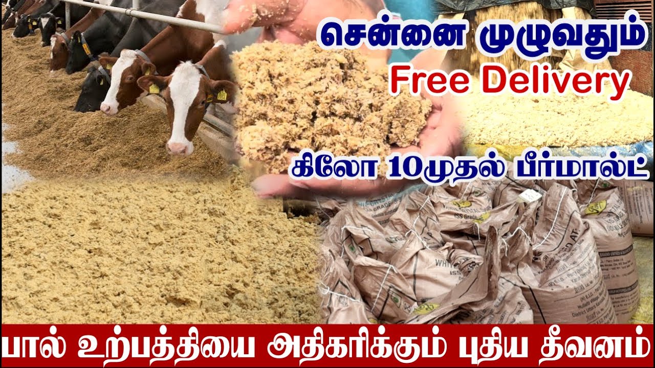 பால் உற்பத்தியை அதிகரிக்கும் மாட்டு தீவனம் | சென்னை முழுவதும் Free Delivery | Cattle Feed