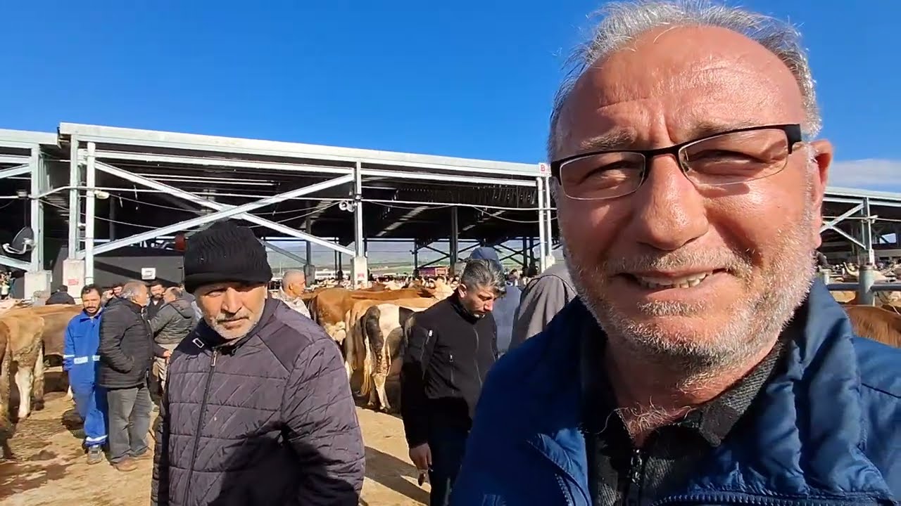 ÇORUM HAYVAN PAZARI BÜYÜKBAŞ 28 NİSAN ÇEKİMİ 4.BÖLÜM 1 MAYIS 2025