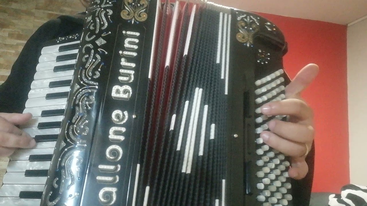 Final Countdown - acordeon cover