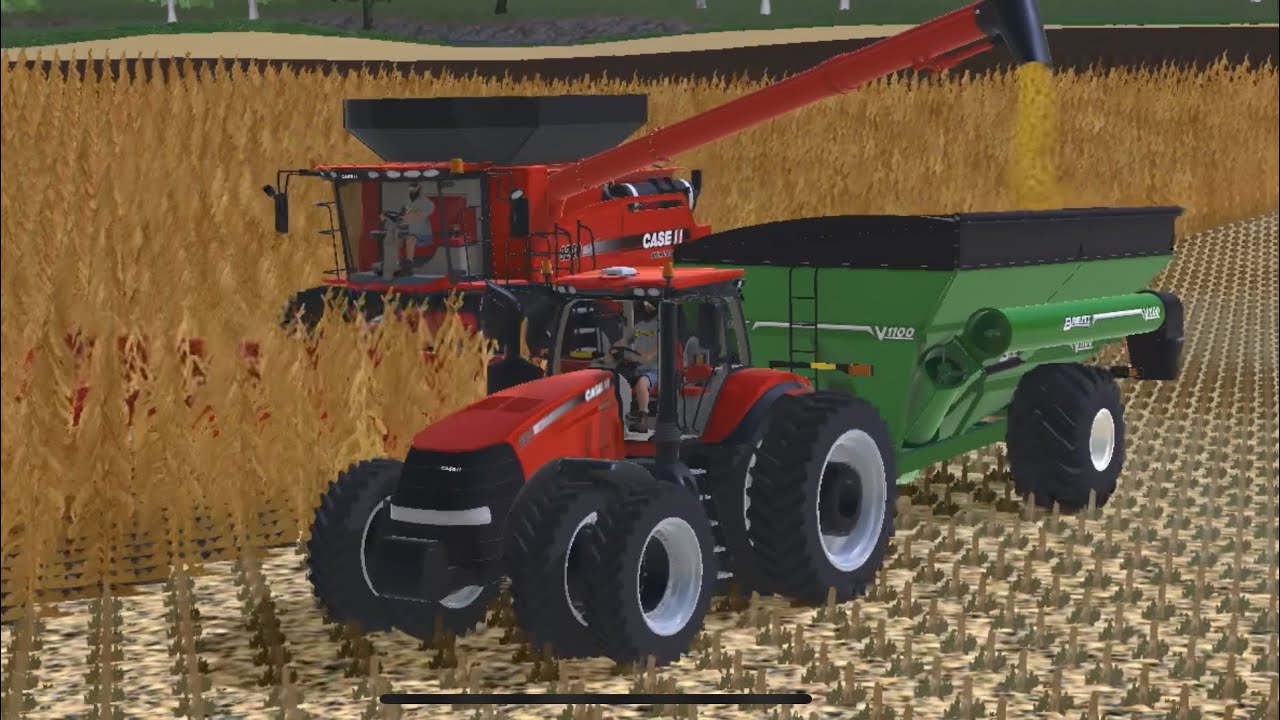 Busy day harvesting corn ! 🌽 