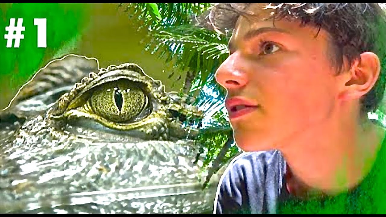 Episode #1 : A 3 m&egrave;tres d'un crocodile au Costa Rica! INSECTOPODE (Costa Rica herping)