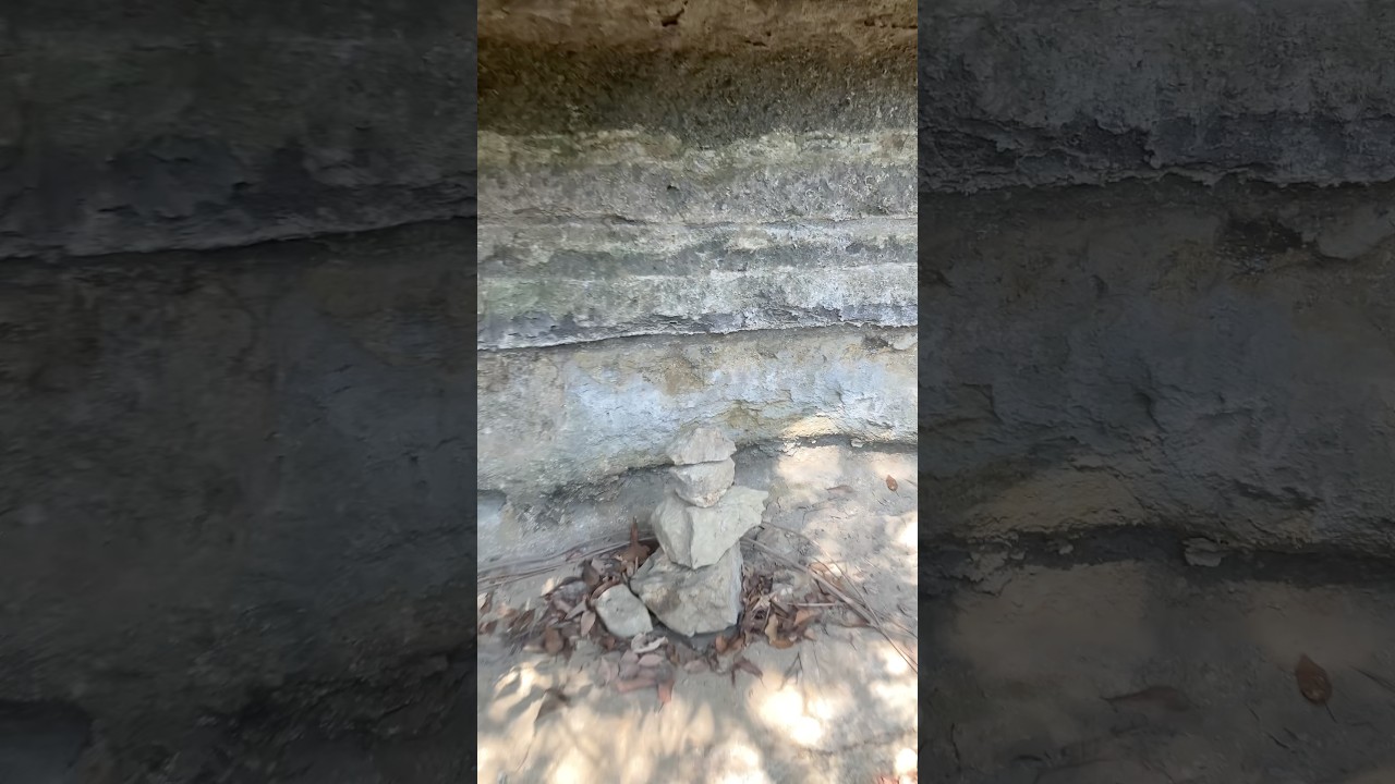 もう最後かもしれないだろ&hellip;だから会いたかったんだ&hellip;明治30年頃から歴史のあった神社跡⛩白山社古址⛩