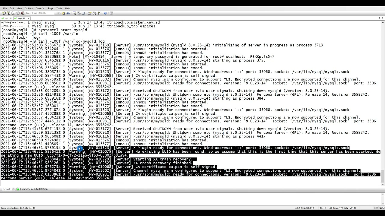 10 Configure mysql replication with Percona XtraBackup xbstream | mysql replication tutorial