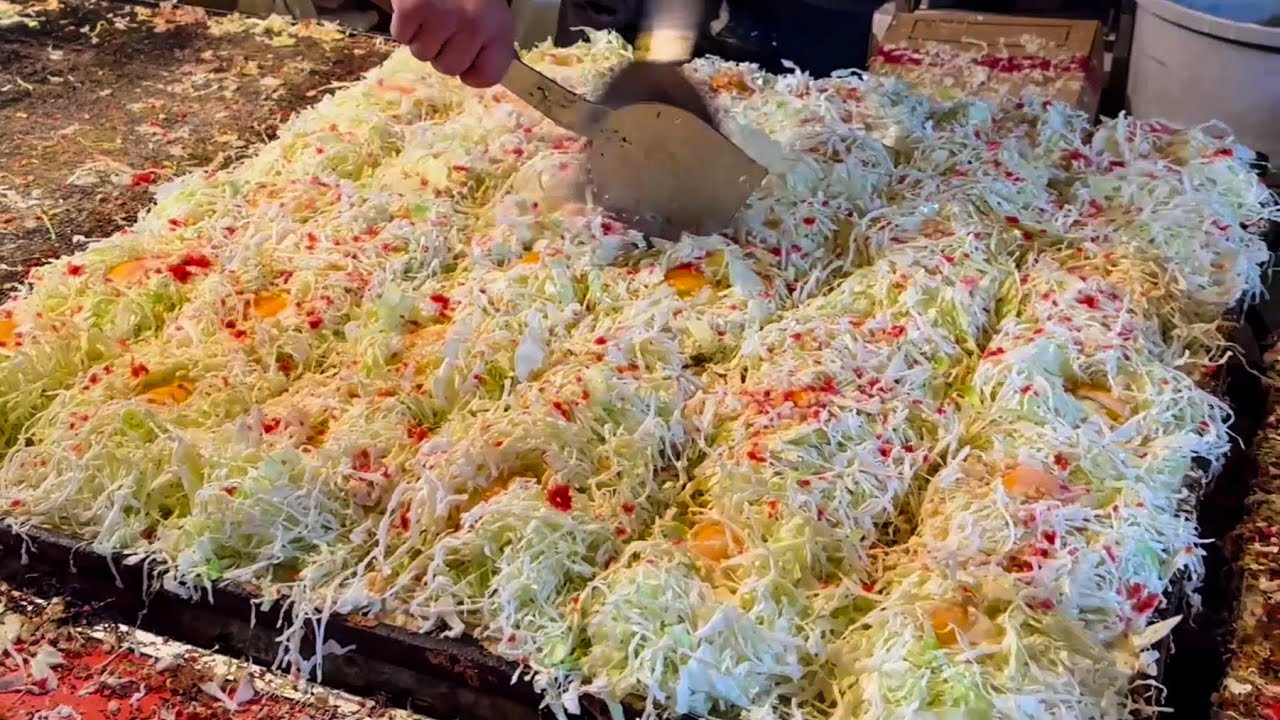 japanese food - okonomiyaki  焼きたてお好み焼き