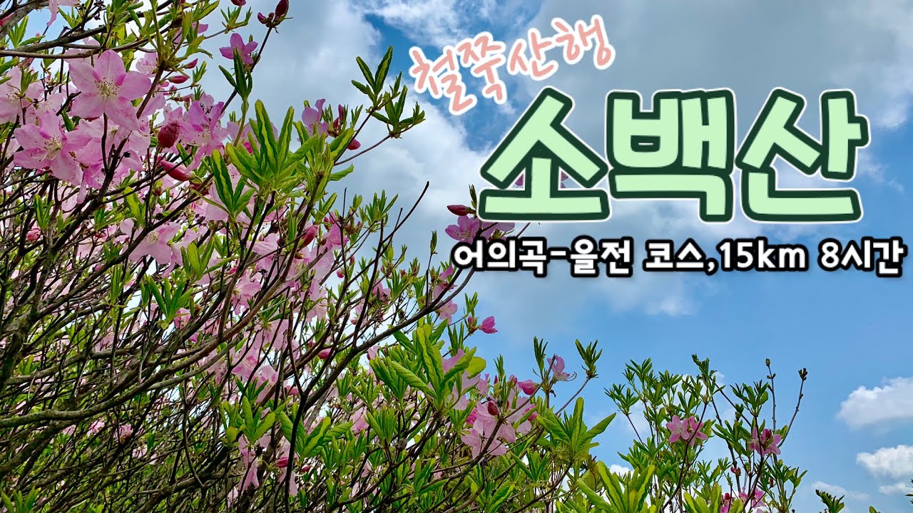 [소백산 국립공원, 철쭉산행] 어의곡~을전 코스 | 이쪽 코스는 비로봉에서 국망봉 가는 길, 철쭉이 볼만하네요😆