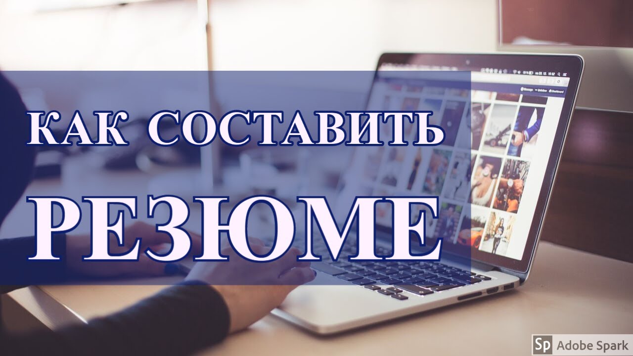 Как составить резюме для работы в Польше | Логистика в Европе