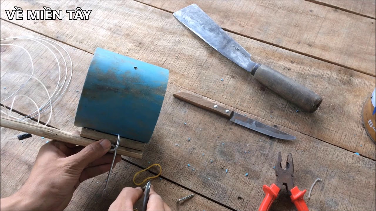 Hướng dẫn làm bẫy mèo hoang đơn giản cực kỳ hiệu quả - Nhật Ký Cuộc Sống