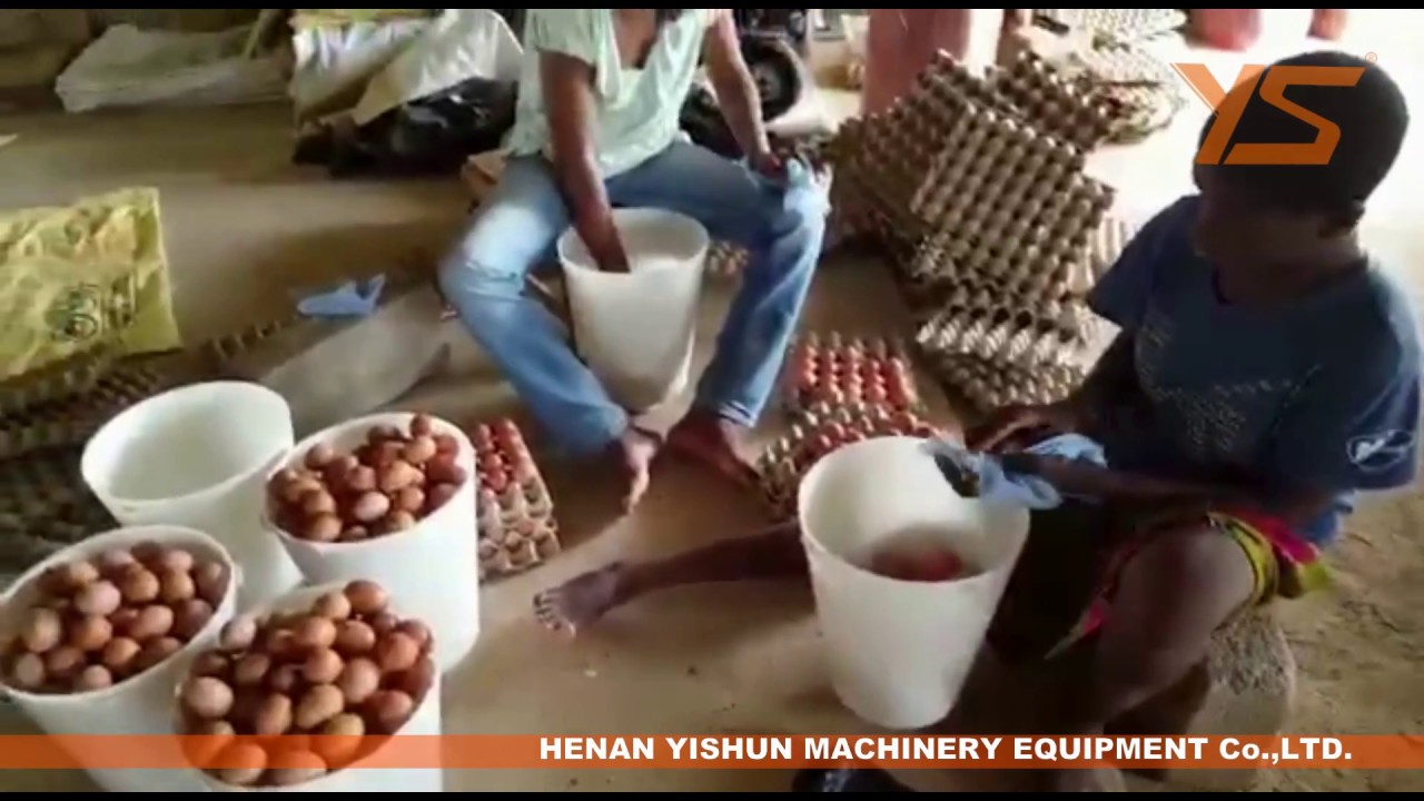 Tamale chicken farm for egg production in Ghana