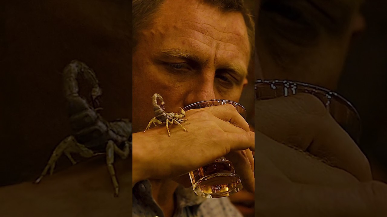 James Bond, Scorpion & Whiskey scene  'Skyfall' (2013) #shorts #youtubeshorts #cinema #danielcraig