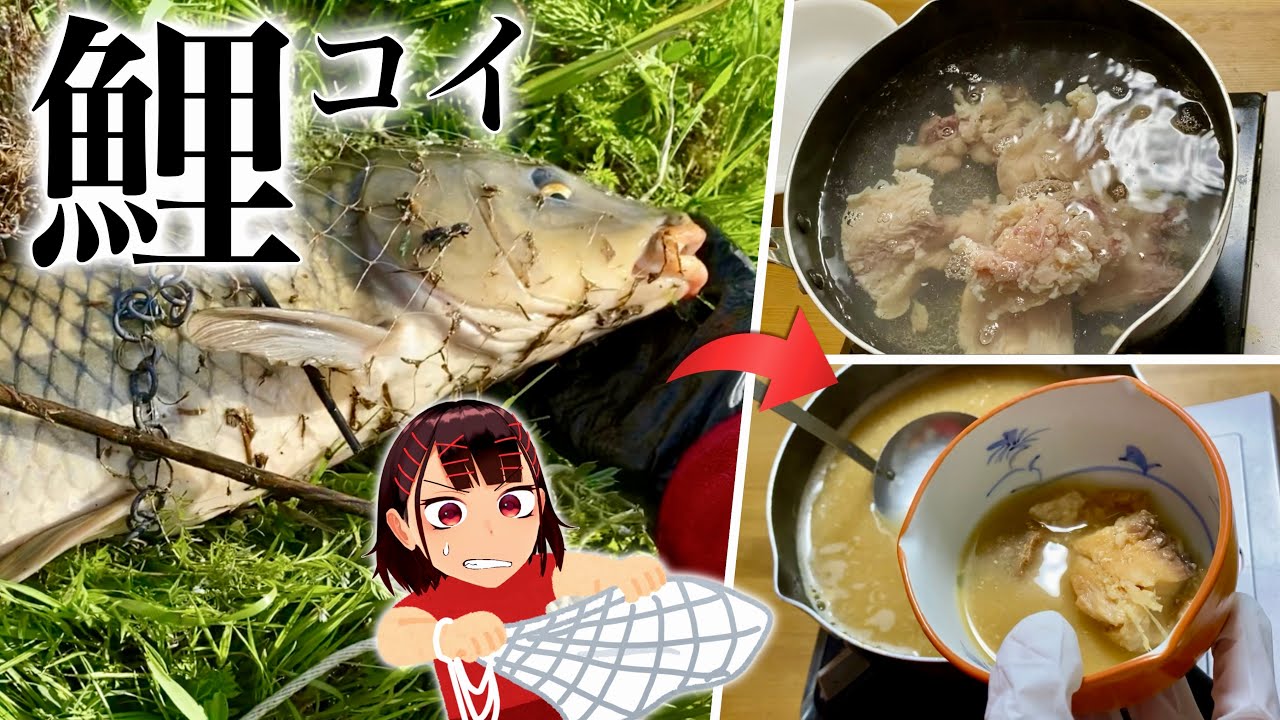 【投網】その辺の川にいるデカいコイで作る郷土料理が美味い！！！【鯉こく】