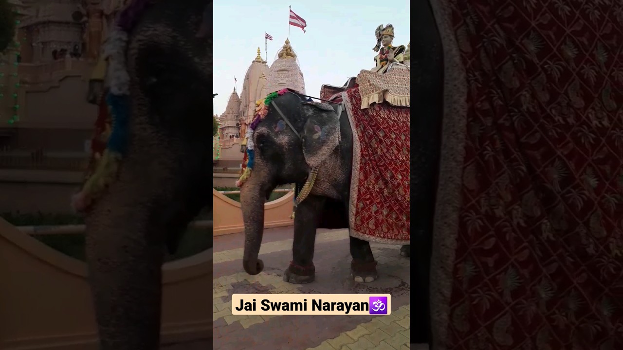 Jai Swaminarayan Temple #shorts #poichalive #elephent  #trending #aarti
