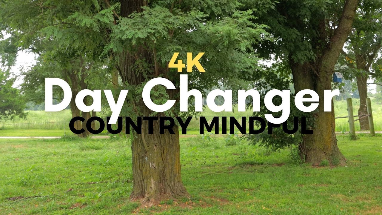 Early Morning Farm Sounds 🐦 4K Birds Dawn Chorus Farm Ambience Relaxing Sounds