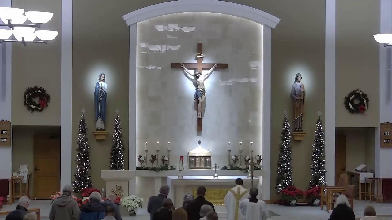 St. Francis of Assisi: Holy Mass (Tuesday, January 27th, 8am)